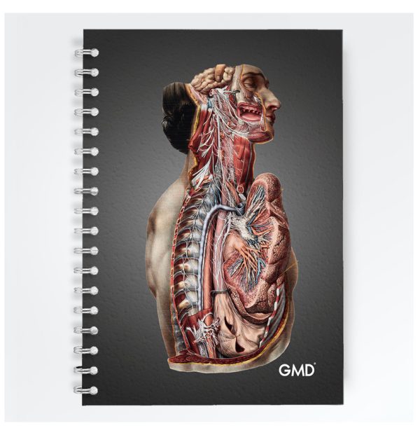 cuaderno gmd