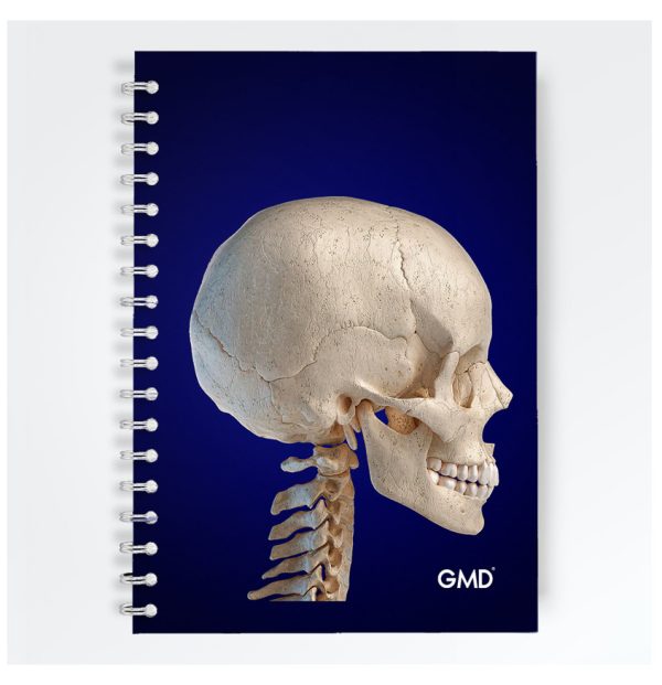 cuaderno gmd