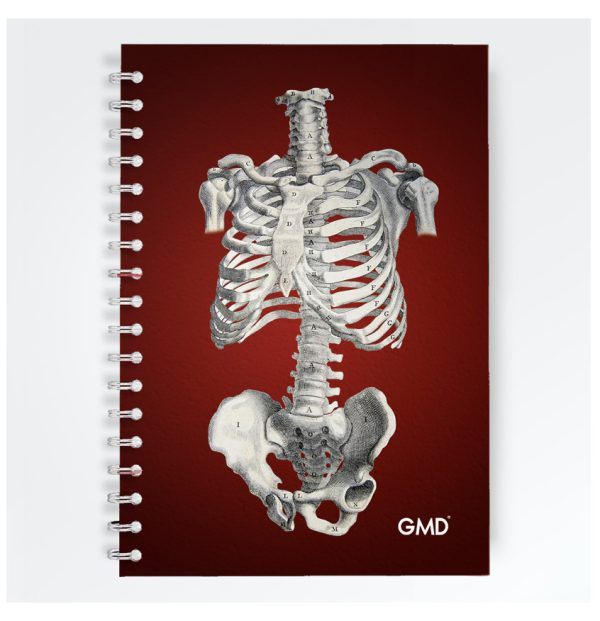 cuaderno gmd